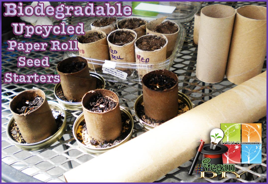 Biodegradable Paper Roll Seed Starters