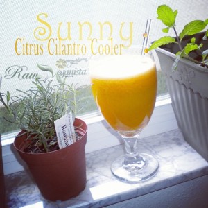 Sunny Citrus & Cilantro Cooler