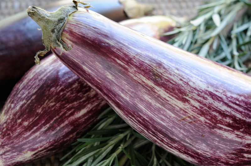 Graffiti Aubergines