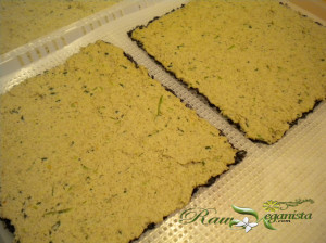 Savoury Raw Nori Crackers