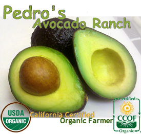 Pedro's Avocado Ranch