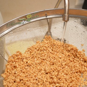 Cleaning whole raw oat groats w/filtered water before preparation