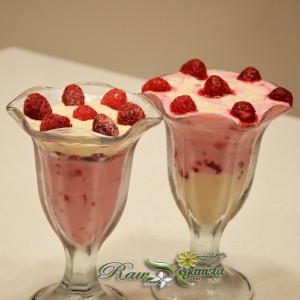 Oat Yogurt Fruit Parfait