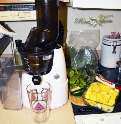 Kuvings Whole Slow Juicer