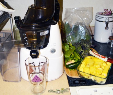 Kuvings Whole Slow Juicer